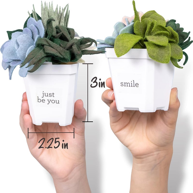 Hapinest DIY Potted Felt Succulents Craft Kit for Adults Women Teens and Seniors, Arts & Crafts for Ages 6 Years and Up - Image 3